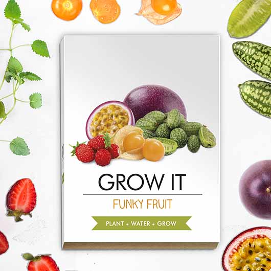 gift republic Grow Your Own Funky Fruit - Grow It