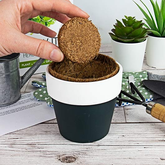 Gift Republic Grow Your Own Marijuana - Grow It