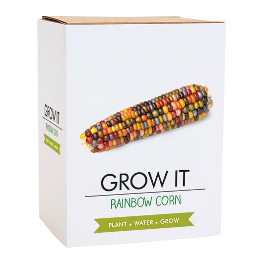 Gift Republic Grow Your Own Rainbow Corn - Grow It