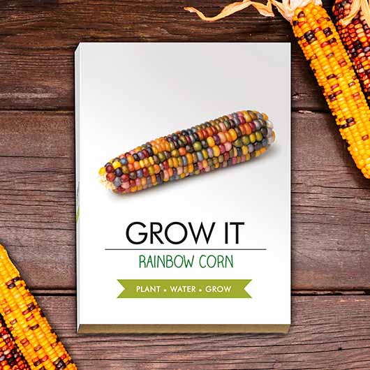 gift republic Grow Your Own Rainbow Corn - Grow It