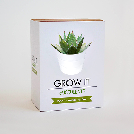 Gift Republic Grow Your Own Succulents - Grow It