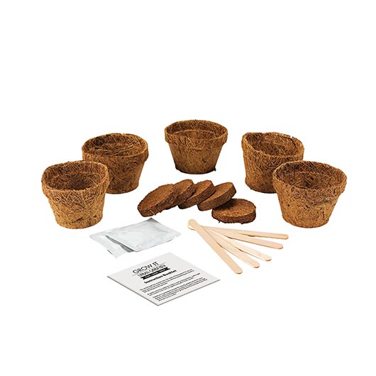 Gift Republic Grow Your Own Urban Gardener - Grow It