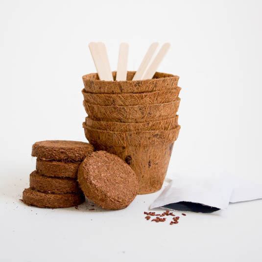 Gift Republic Grow Your Own Wine - Grow It