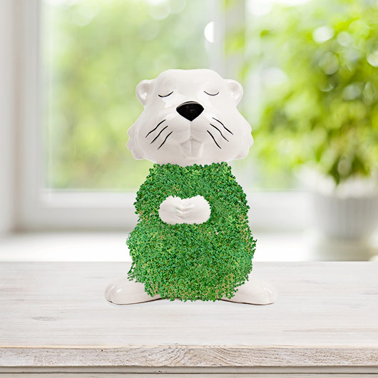 gift republic Hairy Beaver Planter