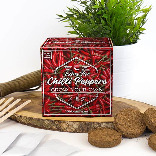 Gift Republic Hot Chilli Pepper