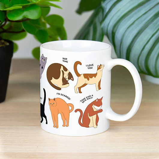 Gift Republic How To Speak Cat Mug