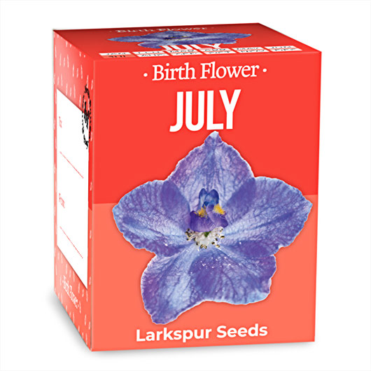 Gift Republic July Birth Flowers