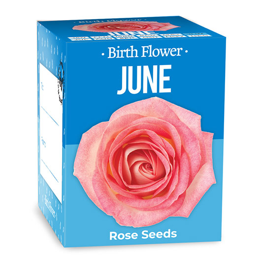 Gift Republic June Birth Flowers