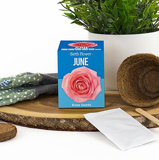 gift republic June Birth Flowers