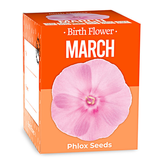 Gift Republic March Birth Flowers