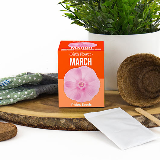 gift republic March Birth Flowers