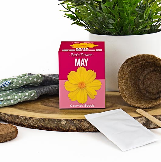 gift republic May Birth Flowers