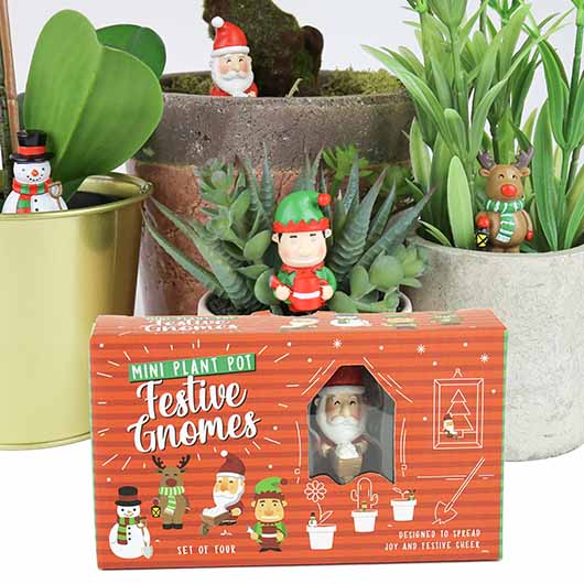 gift republic Mini Plant Pot Festive Gnomes