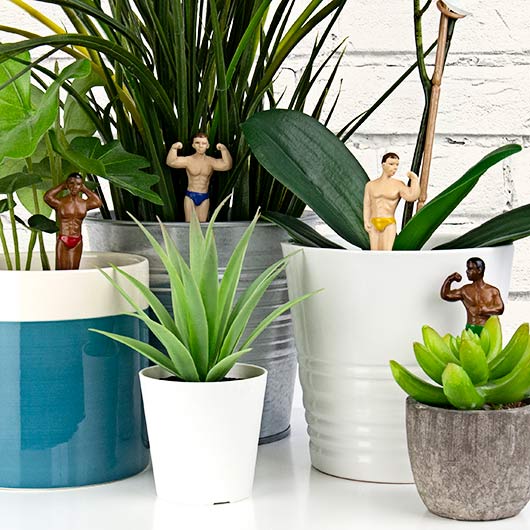 gift republic Mini Plant Pot Hunks