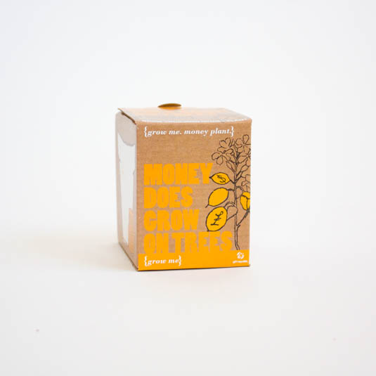 gift republic Money on Trees - Grow Me