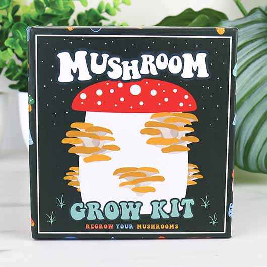 Gift Republic Mushroom Grow Kit