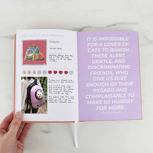 Gift Republic My Cat Journal Keepsake Scratch Book