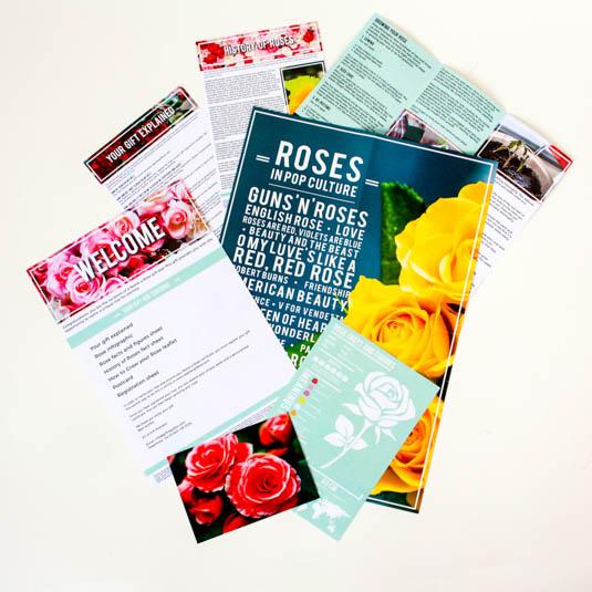 Gift Republic Name A Rose