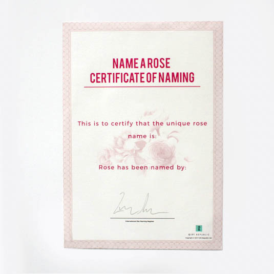 Gift Republic Name A Rose