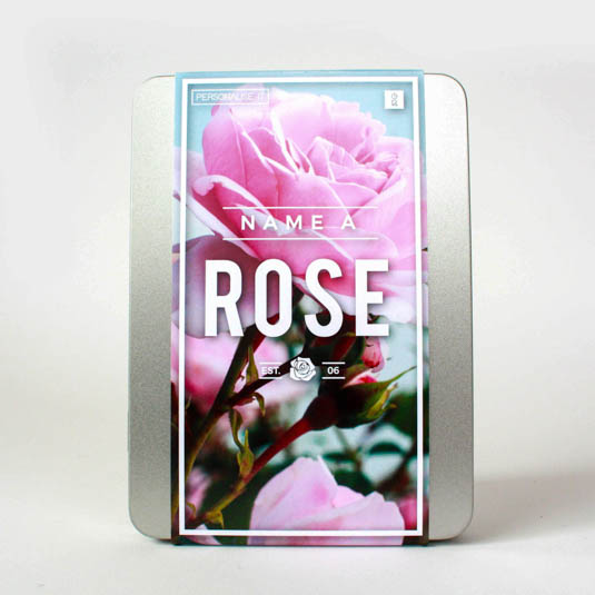 gift republic Name a Rose