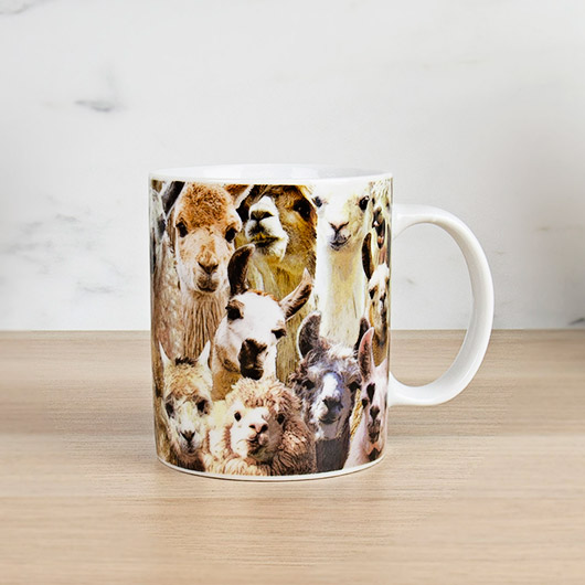 gift republic No Prob Llama mug
