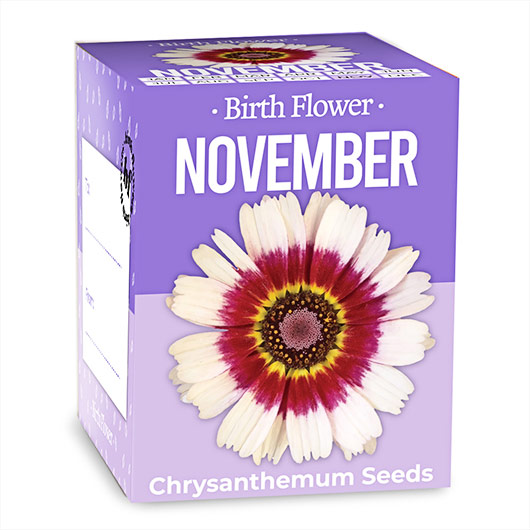 Gift Republic November Birth Flower