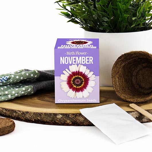 gift republic November Birth Flower