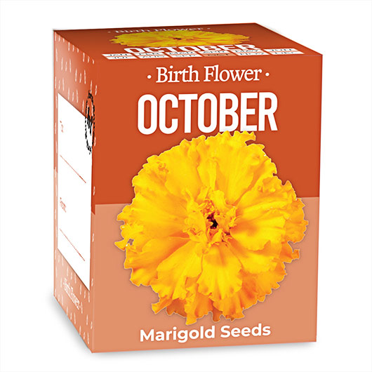 Gift Republic October Birth Flower