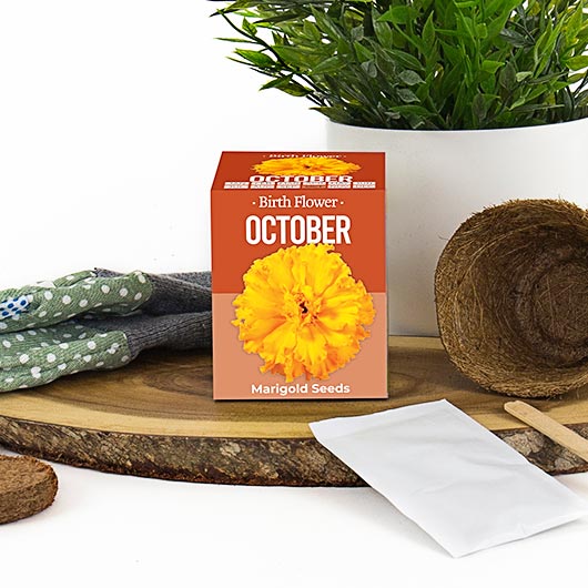 gift republic October Birth Flower
