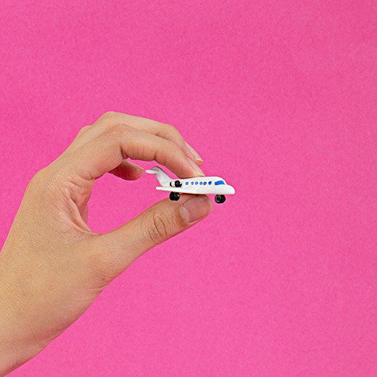 gift republic Own Your Own Jet