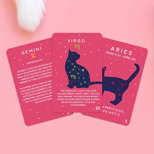 Gift Republic Paw-mistry Cat Cards