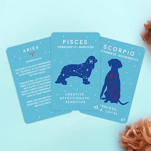 Gift Republic Paw-mistry Dog Cards