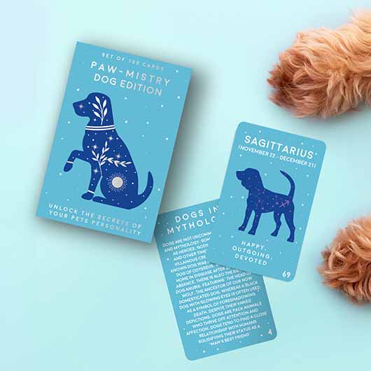 gift republic Paw-mistry Dog Cards