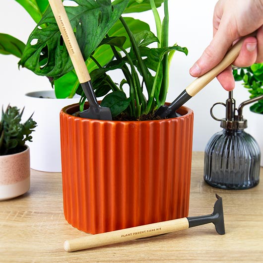 Gift Republic Plant Parent Kit