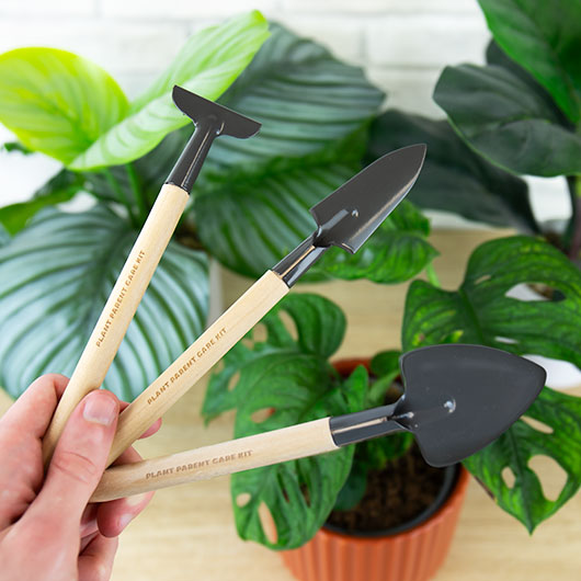 Gift Republic Plant Parent Kit