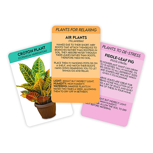 Gift Republic Positive Plants
