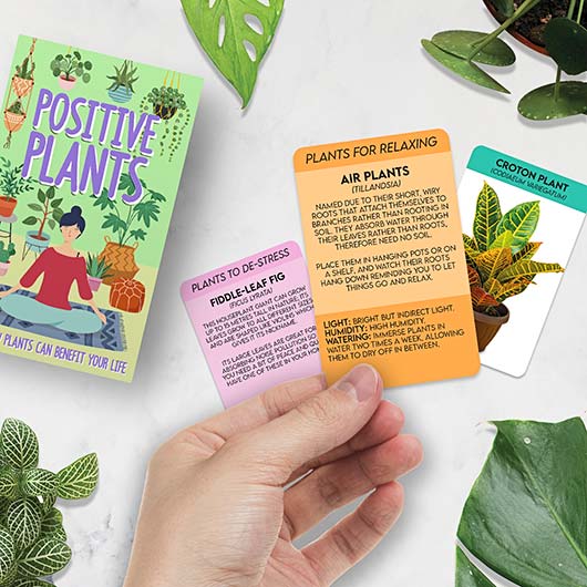 gift republic Positive Plants