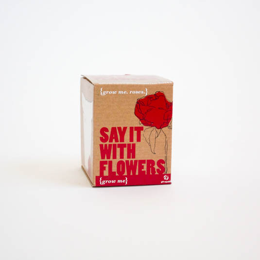 gift republic Say it With Flowers - Grow Me
