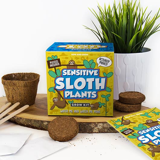 Gift Republic Sensitive Sloth Plants