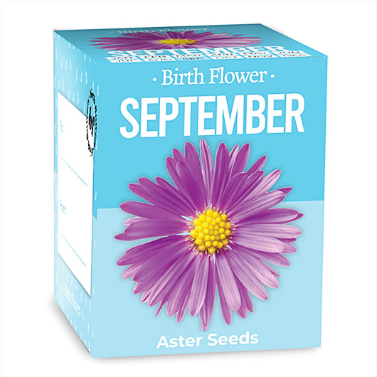 Gift Republic September Birth Flowers