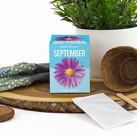 gift republic September Birth Flowers
