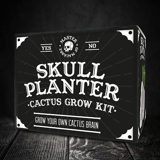 Gift Republic Skull Planter Kit