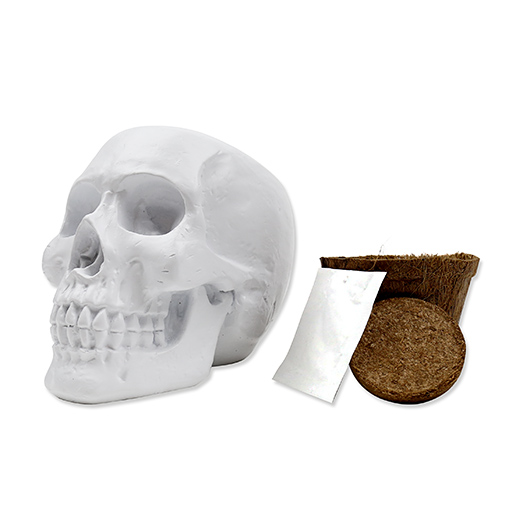 Gift Republic Skull Planter Kit