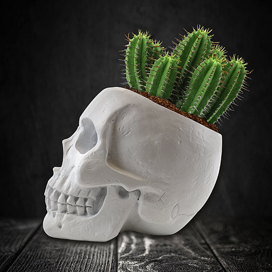 gift republic Skull Planter Kit