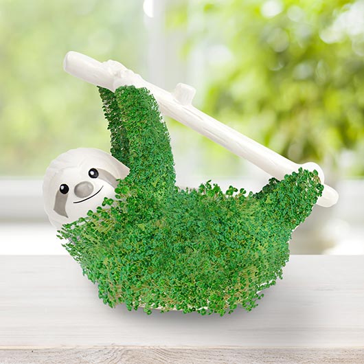 gift republic Sloth Planter