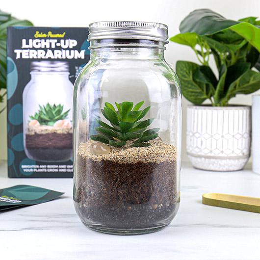 gift republic Solar Powered Light-up Terrarium