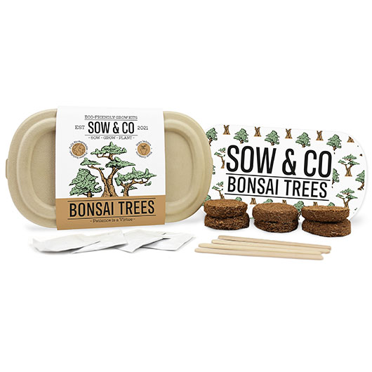 Gift Republic Sow & Co. Bonsai