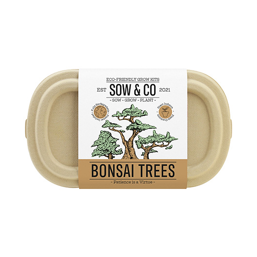 Gift Republic Sow & Co. Bonsai