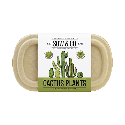 Gift Republic Sow & Co. Cactus