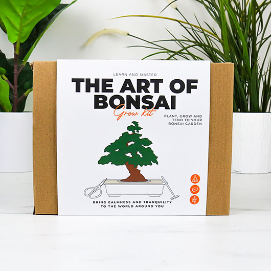 Gift Republic The Art Of Bonsai